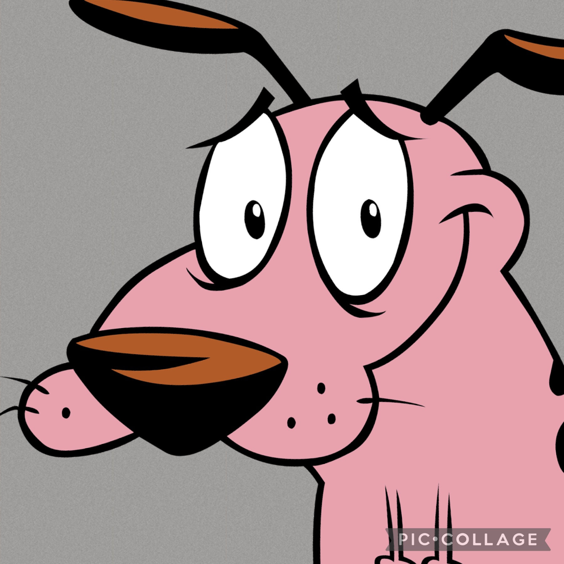 Courage the Cowardly Dog